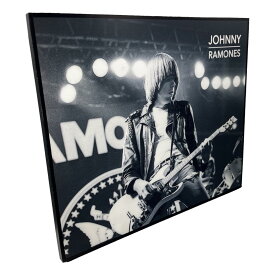 【送料無料】 ラモーンズ Ramones ジョニー ラモーン Johnny Ramone アートパネル 壁掛け 据え置き 壁掛けフック付き アーティスト POPパネル インテリア アートフレーム ポスター cool クール 面白い かっこいい アート 雑貨 カフェ リビング 額付き 額縁 オシャレ