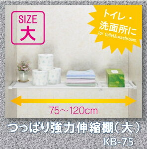 qAtArς苭͐LkIij[KB-75]ςI ˂I ˂ςIgC̒I ʏ̒I ς[