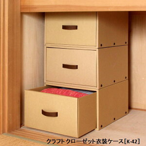 qAtArNtg N[[bgߑP[X [K-42]//ߑP[X o Ntg [P[Xߗގ[  ߑւ i{[