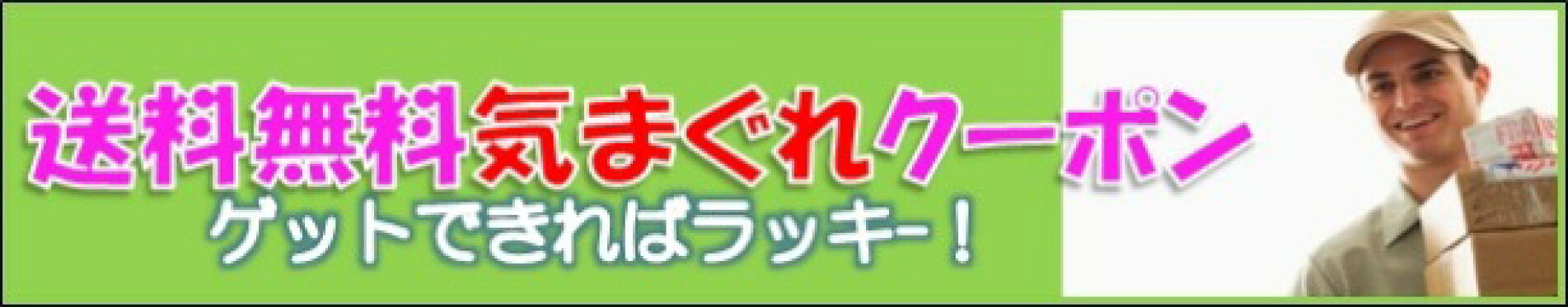 気まぐれ送料無料