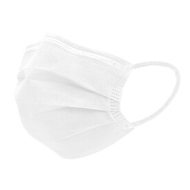 【ご愛顧感謝☆お客様満足度97％】＼ランキング1位／マスク福袋 大容量 100 80 50 20枚 不織布マスク 血色マスク 高性能フィルター バイカラーマスク プリーツマスク 立体マスク 子供用 大人用 小さめ 大きめ 使い捨てマスク かわいい おしゃれ 耳痛くならない 耳紐 平ゴム