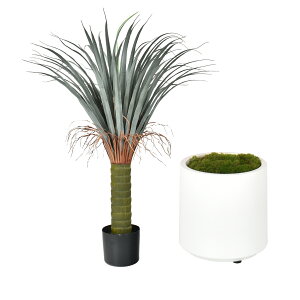 *ő2000~offN[|*yzϗtA tFCNO[ ^  A A tFCN O[ CeA AW lHϗtA rO Q  ~W JeA Zg