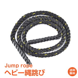 *20%OFFN[|1840~*yzwr[꒵ Wv[v ^ _CGbg ؃g g[jO یѕt 2.4kg 3m ̘r  ӂ͂ ̊  de044