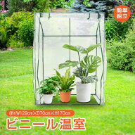 *20%OFFクーポン⇒4,608円*【送料無料】ビニールハウス ビニール温室 段無し 平棚 ガーデンハウス ベラン…