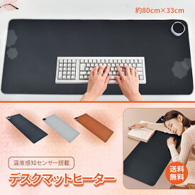 *25%OFFクーポン⇒2,480円*【送料無料】冷えの盲点！デスクヒーター ヒーターマット パネルヒーター デスクマットヒーター 卓上ヒーター フットヒーター 足元ヒーター ホット ヒーター マット 冬 暖かい デスクワーク オフィス パソコン 寒さ対策 冷え性 テレワーク 受験勉強