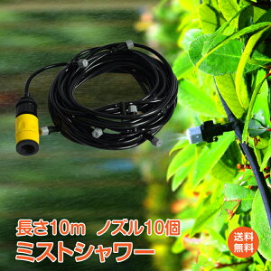 *20%OFFN[|1,352~*yz~XgV[10m ~Xg V[ U O XvN[ mY10   M CM Ђ K  K[f x_  ƒ؉ K[f