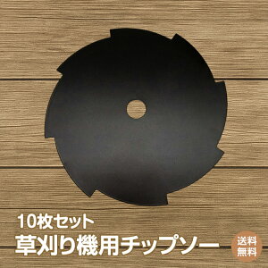 *15%OFFN[|*yz`bv\[ 10Zbg 8n \ @p Ŋ ֐n nڂ  `bv\[  K[fjO DIY  Ő ƒ؉ 10Zbg 8n \ 