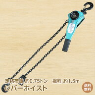 *15%OFFクーポン⇒5,070円*【送料無料】レバーホイスト 0.75t 持ち上げ ワンタッチ 0.75トン 750kg 1.5m …
