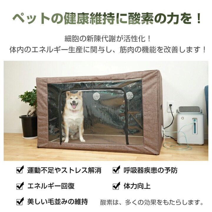 楽天市場】＼3/30限定11%OFFクーポン／【1年保証】酸素発生器 酸素濃縮 