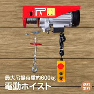 *15%OFFクーポン⇒14,414円*【送料無料】電動 ウインチ 100v 小型 クレーン ウィンチ 電動 吊り下げ 吊り…