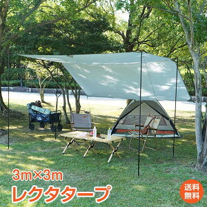 *10%OFFN[|*yz AEghA ^[v 3m×3m V 悯 h eg XNGA^[v N^^[v 300x300cm ϐ3000mm eg p g낢 OhV[g L