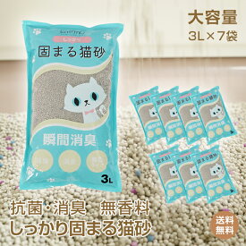 *20%OFFクーポン⇒2,084円*【送料無料】大容量 お徳用 猫砂 ベントナイト 固まる 21L 3L×7袋 消臭 抗菌 軽量 トイレ ネコ砂 猫用 猫トイレ 飛び散り防止 無香料 瞬間吸収 ペット用品 猫ちゃん ネコ用トイレ砂 ペット用トイレ砂 トイレ用猫砂 pt090
