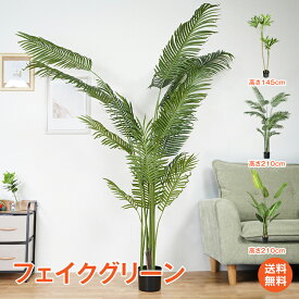 ＼6/5限定15%OFFクーポン／【1年保証】観葉植物 フェイクグリーン 大型 リアル 高さ210cm ～145cm おしゃれ 鉢付き プレゼント インテリア リビング 玄関 寝室 人工観葉植物 アレカヤシ オーガスタ ツピダンサス 飾り用 撮影用 部屋飾り 造花 鉢植 お祝い sg020