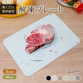 *20%OFFクーポン* ランキング1位【TVで話題＆有名雑誌掲載】解凍プレート 急速 最速 解凍用プレート 業務用 家庭用 自然解凍プレート 解凍板 解凍皿 解凍まな板 スピード 肉 魚 冷凍食品 時間短縮 便利グッズ 超薄型 キッチン 粗熱 肉 ホタテ 食品解凍 刺身 省エネ 電気不要