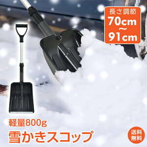 *撅10%OFFN[|*yzႩXRbv pXRbv Xm[Vx Ⴉ [  Vx  70`91cm y 800g ~ g ԍ Vx  ƒp @\  R