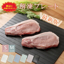 *限定10%OFFcp*ランキング1位【TVで話題＆有名雑誌掲載】解凍プレート 急速 最速 解凍用プレート 業務用 家庭用 自然解凍プレート 解凍板 解凍皿 解凍まな板 スピード 肉 魚 冷凍食品 時間短縮 便利グッズ 超薄型 キッチン 粗熱 肉 ホタテ 食品解凍 刺身 省エネ 電気不要
