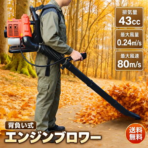 *15%OFF�N�[�|����12,121�~*�y���������z�G���W���u�����[ �w������ 43cc �K�\������ 2�T�C�N�� �u�����[ �u���A�[ �����@ �����t ���| �S�~�|�� ���� ���� ����80m/s ����0.24m3/s �� �_�n ���� ���| 