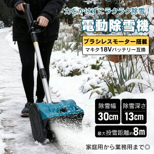 *撅10%OFFN[|*yzd@ Xm[Vx ƒp Ɩp R[hX uVX[^[ [^[ Lk ܂ݎ  Ⴉ  ᕝ30cm ፂ13cm ő