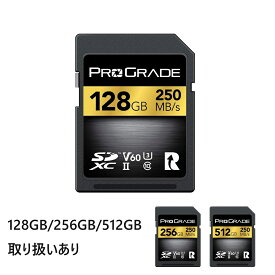ProGrade Digital プログレードデジタル SDXC UHS-2 V60 250R GOLDシリーズ PGSD128GBJKP 256GB 512GB SDカード 高性能