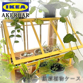 【25日店内最大P20倍】 観葉植物 ケース IKEA AKERBER オーケルベール ショーケース おしゃれ インテリア 鑑賞用 温室 室内 屋外用 軽量