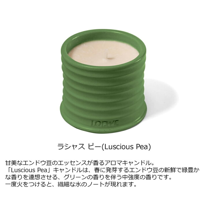 楽天市場 5日23 59まで店内最大p倍 Loewe ロエベ ビートルート キャンドル 170g フレグランスキャンドル おしゃれ 大きい 可愛い 誕生日 プレゼント ギフト ワックス 黒 蝋燭 ろうそく ロウソク ルームフレグランス 送料無料 インポートショップ アリス