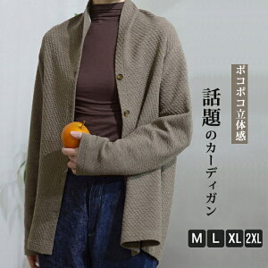 J[fBK fB[X VlbN gbvX  C[h HD 㒅 KB  J[f |R|R̊ 傫TCY  ̌^Jo[ n Vv AE^[ t t [