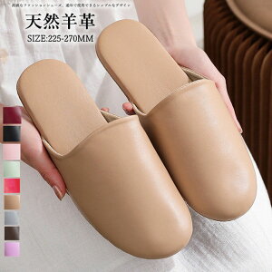 Xbp {v VRrv fB[X Y Vv   _炩 Snǂ  j ÉŌy ~ ₷ [V[Y ItBX   jp l