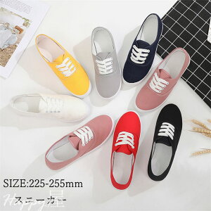 Xb| Xj[J[ fB[X V[Y [Jbg tbgV[Y LoX U s JWA lC  킢 ₷ ʋ ʊw 