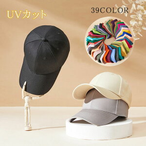 Lbv fB[X Y Xq [NLbv t n  uvJbg O΍ Ăh~ X|[c Vv AEghA oR ނ St X|[c 悯 싅X