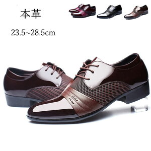 rWlXV[Y Y hXV[Y JWAV[Y [t@[ Xb| vC C  ʋC h  amC  jv[g 