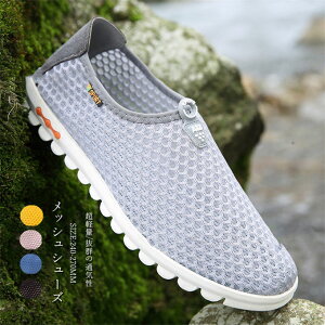 AEghAV[Y Y Xj[J[T_ bV ʋC X|T ^C y oRC jOV[Y WMOV[Y t ʊw RtH[gV[Y 