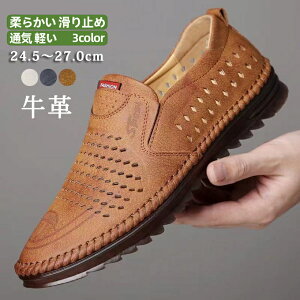 rWlXV[Y Y bVT_ vC v Xb| rWlXT_ JWA ʋCQ jp ~ y Ȃ ʋC _炩 ȒPE ItBX  am