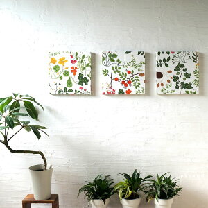 KLIPPAN Leksand Nbp t@ubNplpl rO NTh k CeApl 30×30cm 3g