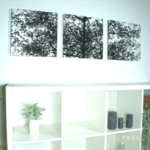t@ubNpl  TREE ubN 40×40 3g  gD[  t@ubN{[h A[gpl