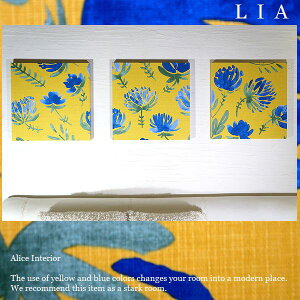 t@ubNpl   3 A[gpl 40×40cmCG[ A t[@ԕ Xܔi ؐpl CeApl IuWF@k