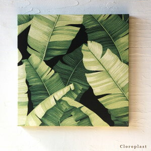 t@ubNpl  AX Hawaiian Cloroplast 40×40cm ubN O[  nCA gsJ t A  Ǐ A[g {[h A[gpl BKF