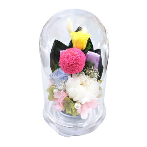 NAh[vU[uh ~jdp@fԂLyz