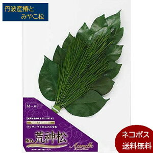 v~A vU[uh r_Myz (֗tE݂₱3{gp^Cv) O ͂Ȃ  O sv ~ ފ