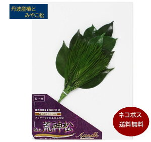 v~AvU[uh r_Syz(֗tE݂₱3{gp^Cv) O ͂Ȃ   O sv ~ ފ݁y[֑z