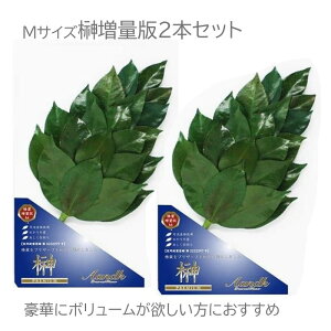 v~A-MTCYʔ(2{)OgY ֗tgp _I py[֑zX[p[Z[