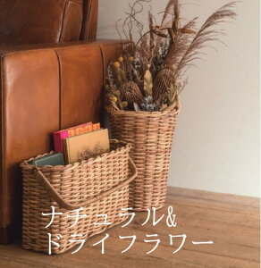 g[oXPbg11697@yAX̎ԁzhCt[@