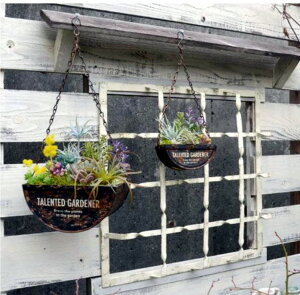 aziazi /nMOZ~T[Ntv^[S/AZ-1355 yAX̎ԁz