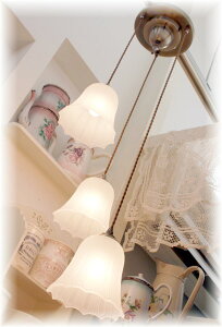 yAeB[NƖzy˂dlzHAGU-0002@Ԃ3y_gv