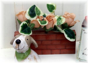 ~j`AK^Ct[L@yK[fjO/~j`A/G/ CeA@AeB[N@~j`A@z@