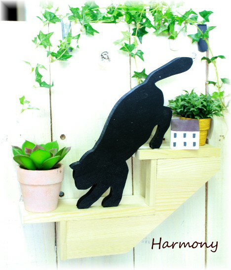 夢 羊の服を着た狼 優先 黒猫 観葉植物として人気 Dr Eam Jp