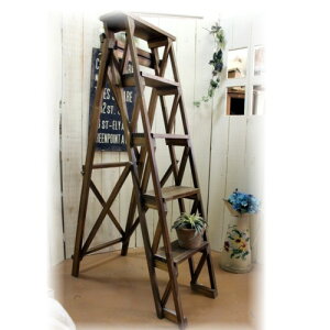 ؐ@AeB[N_[5i@X@yAX̎ԁz