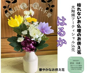 G}A[eV d 茳{u[Pq͂邩ryz