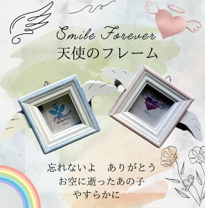 Vĝ͂˃t[ yAX̎ԁz