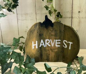 nEBAR[fBIpvLMO[@yAX̎ԁz