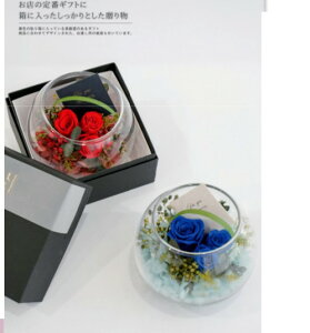 ԕuU[uht[KX̃Mtg@yAX̎ԁz